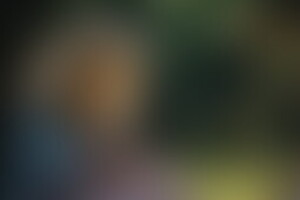 Фотография квеста Алиса в Стране чудес от компании Квест-хаус (Фото 1)
