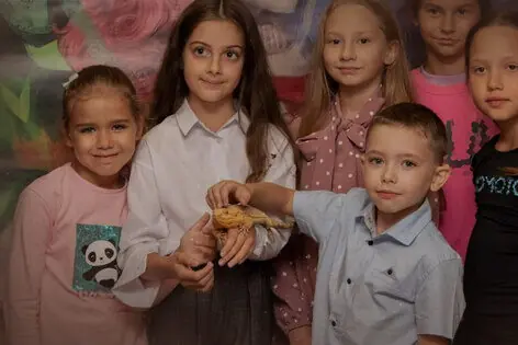 Квест-анимация «Харли Квин» от Активити