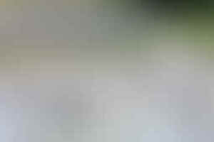 Фотография городского квеста По следам вора: императоры, магистры, полководцы от компании Ubego (Фото 1)