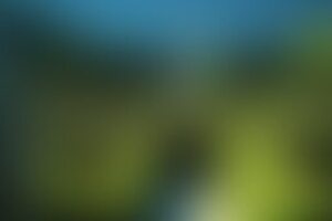 Фотография квеста Ленточный лабиринт от компании Кениг Квест (Фото 1)